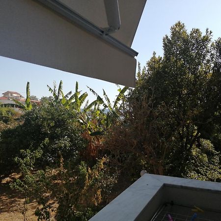 Filanthi Costas Otel Stoúpa Dış mekan fotoğraf
