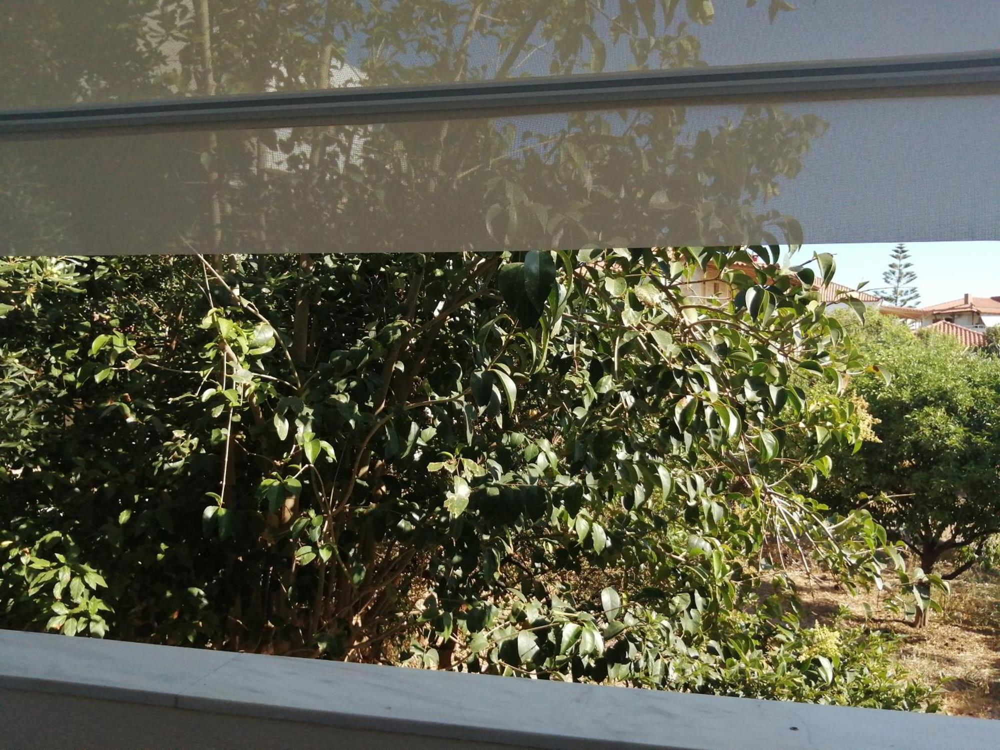 Filanthi Costas Otel Stoúpa Dış mekan fotoğraf