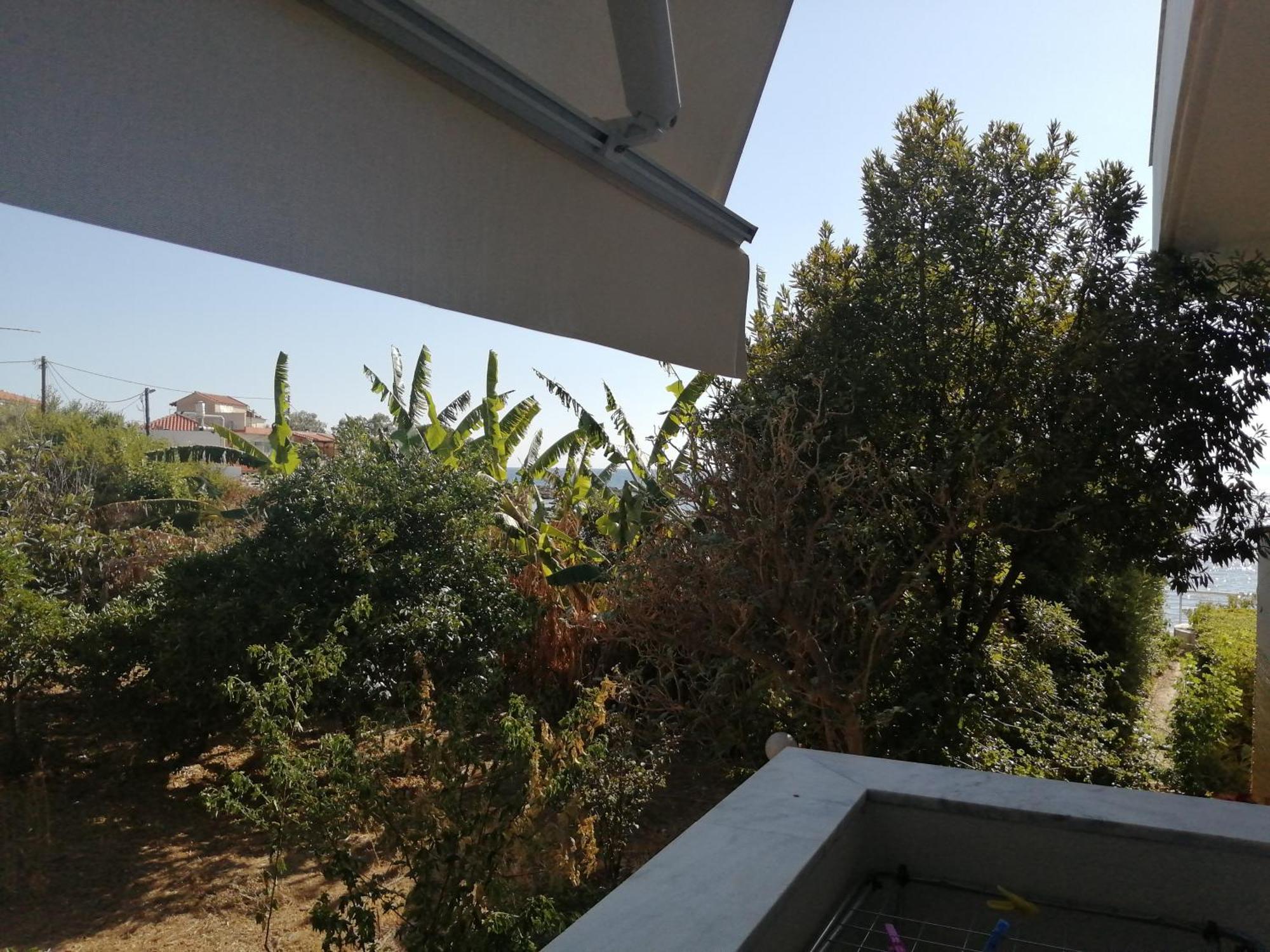 Filanthi Costas Otel Stoúpa Dış mekan fotoğraf